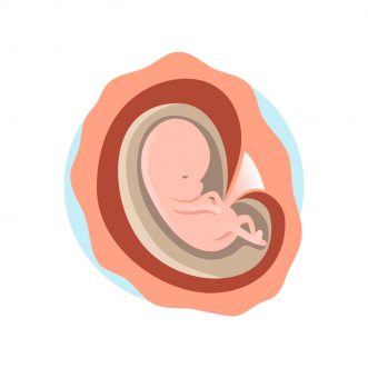 Memo Du 2eme Mois De Grossesse Autour De Bebe Conseils