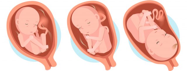 Mémo du 9ème mois de grossesse, Autour de bébé