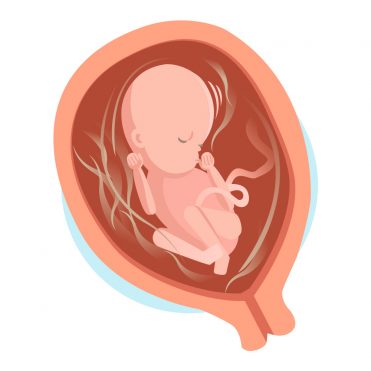 Memo Du 5eme Mois De Grossesse Autour De Bebe Conseils Memo Du 5eme Mois De Grossesse Autour De Bebe Conseils