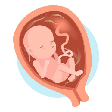 Mémo du 6ème mois de grossesse, Autour de bébé