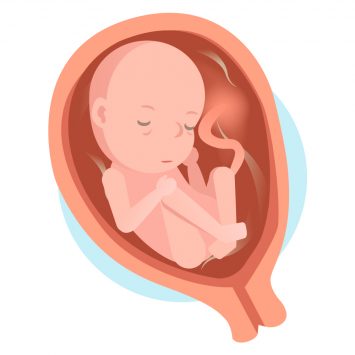 Memo Du 7eme Mois De Grossesse Autour De Bebe Conseils