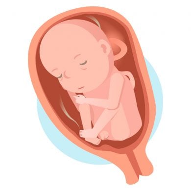 Point bébé - Miniloute a 8 mois ! - [Encore un] Blog de Mère