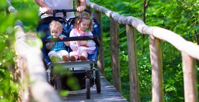 Poussette pour bébé, à la mode, face avant et face aux parents