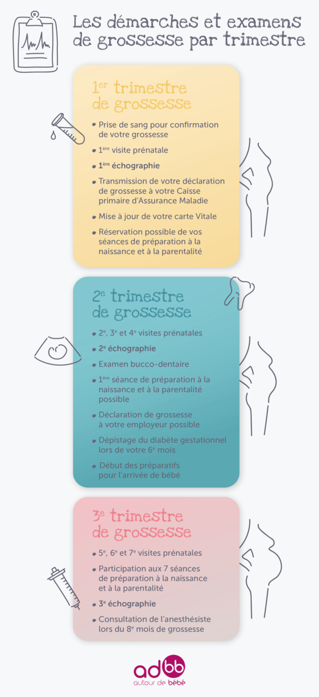 Les Demarches Et Examens Obligatoires Par Trimestre De Grossesse En Infographie