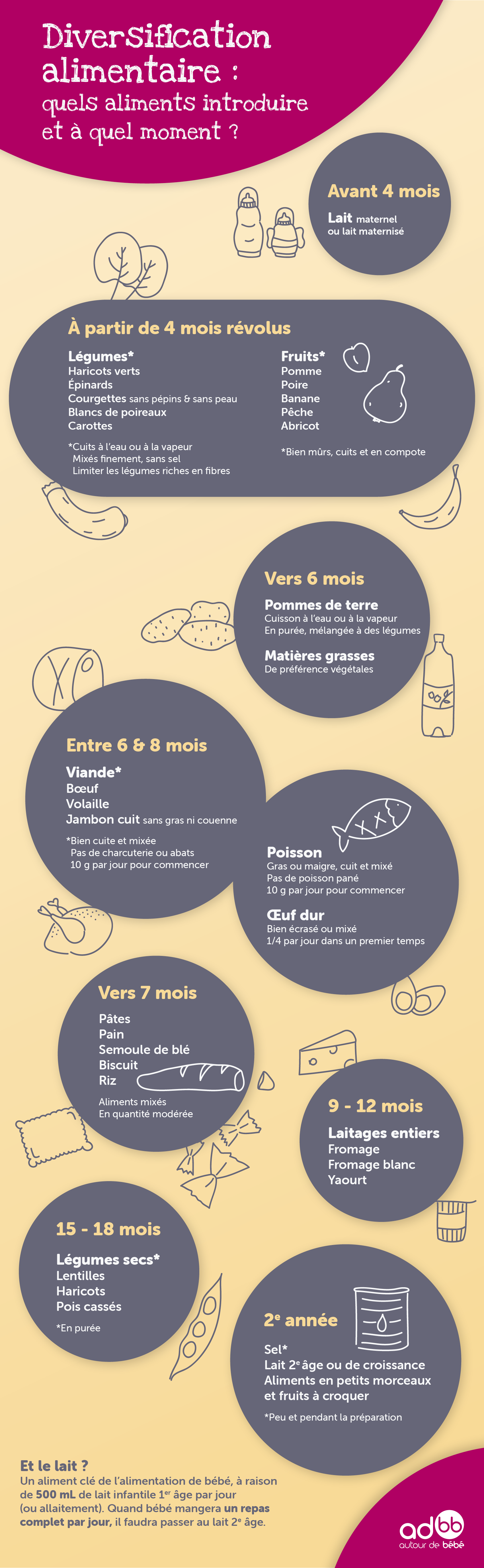 La diversification alimentaire de bébé : tout savoir