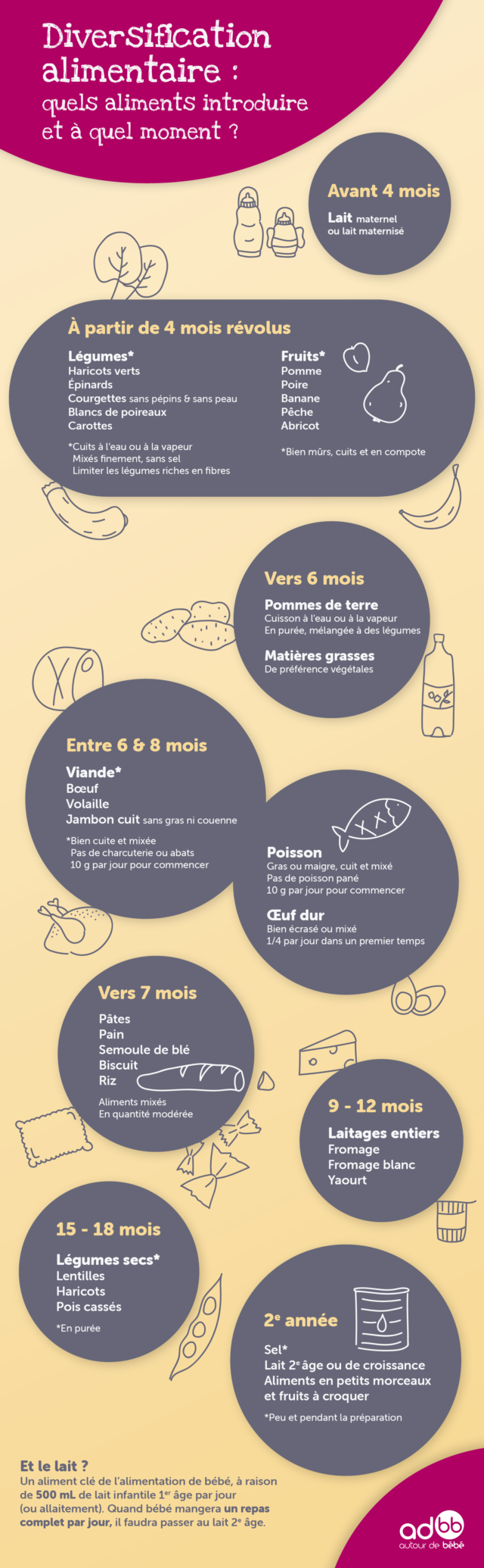 Diversification Alimentaire de Bébé à 4 mois : Le Guide Pratique