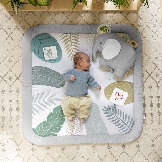 Ingenuity Tapis d'éveil Petit Eléphant Blanc, gris, vert 