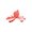 Corail