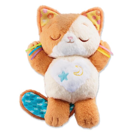 Vtech Baby Peluche musicale Mon chaton douce nuit Multicolore  Vtech Baby Peluche musicale Mon chaton douce nuit Multicolore