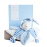 doudouetciejaimemondoudoucollectoroursbleu-3700335229219-1BaseMedia-96Wx96H.jpg