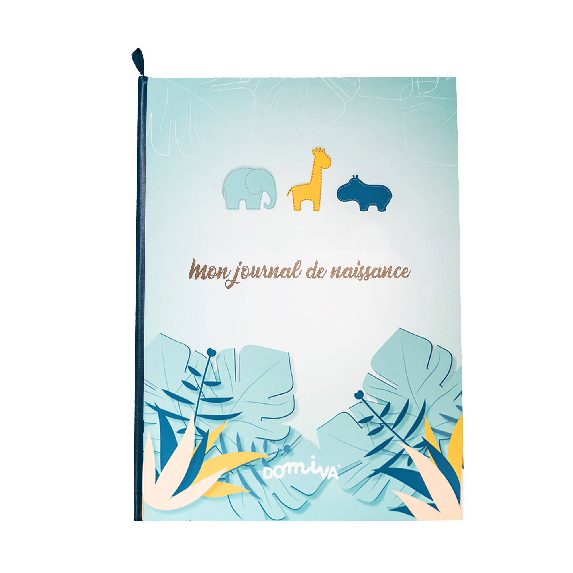 Mon livre de naissance MULTICOLORE Domiva