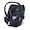 Navy Blue 2020