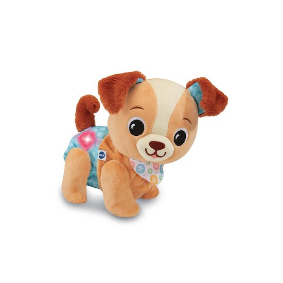 Vtech Baby Toutou, 1, 2, 3 suis-moi Multicolore 