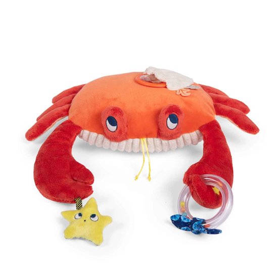 Jouet Bebe 6 mois, 5 in 1 Jeux Montessori 1 2 3 an, Crabe Jouet