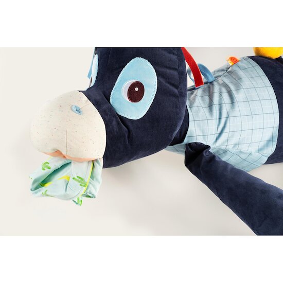 Lilliputiens IGNACE RANGE-SECRETS  