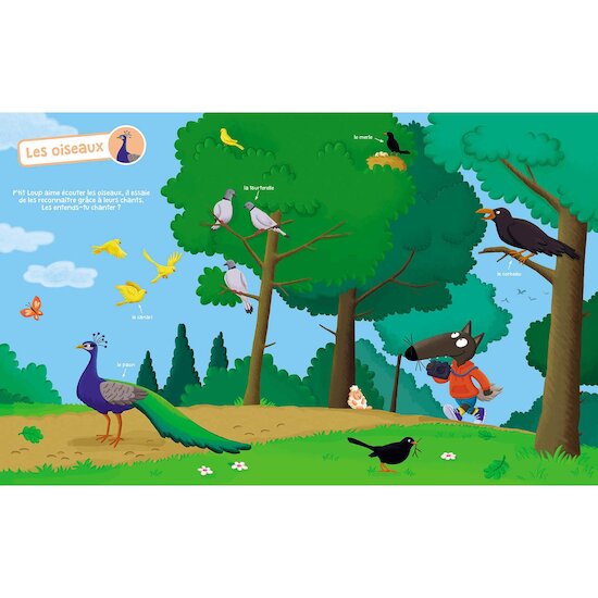 Auzou Livre P'tit Loup Mon livre sonore Les animaux Multicolore  Auzou Livre P'tit Loup Mon livre sonore Les animaux Multicolore