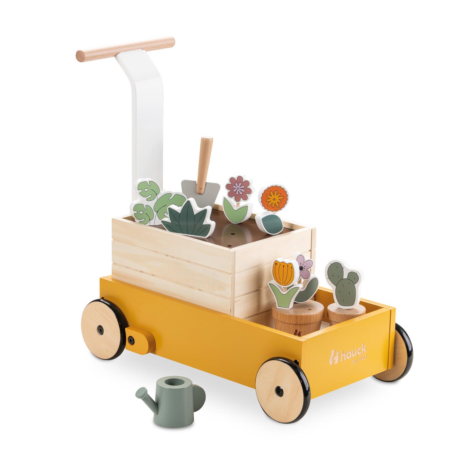 Chariot de marche Learn To Walk MULTICOLORE Hauck