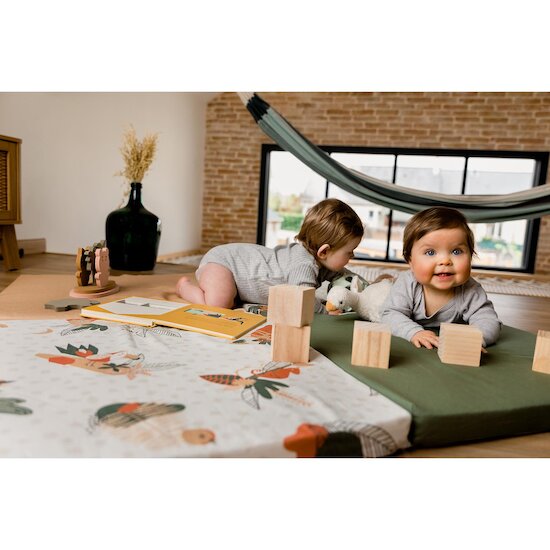 Tinéo Tapis malin Amazonie  Tinéo Tapis malin Amazonie