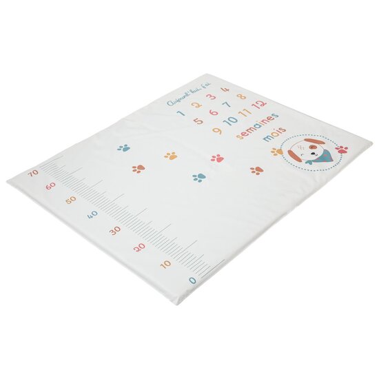 BabyCalin Tapis de Jeu + Anniversaire  Toutou 72,5x92 cm