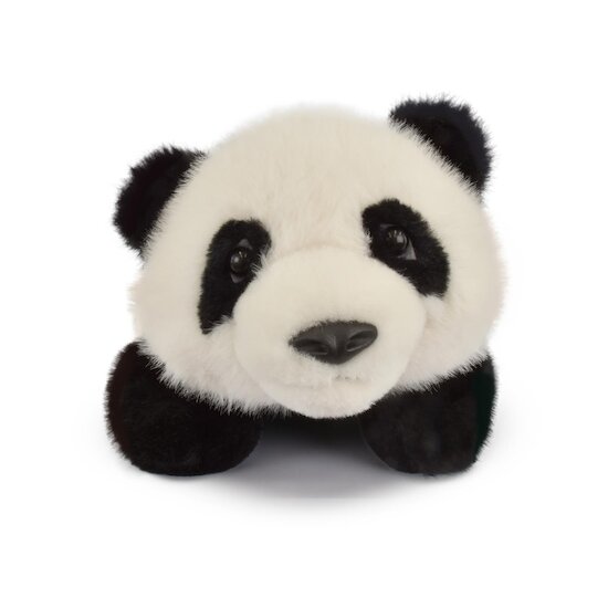 Histoire d'Ours Pleuche Le panda Bao Blanc 42 cm Histoire d'Ours Pleuche Le panda Bao Blanc 42 cm