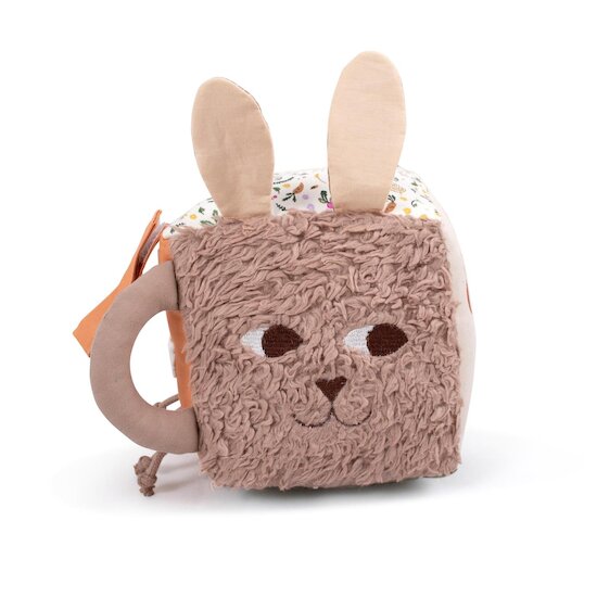 BB&Co Cube multi-activités Lapin Multicolore 