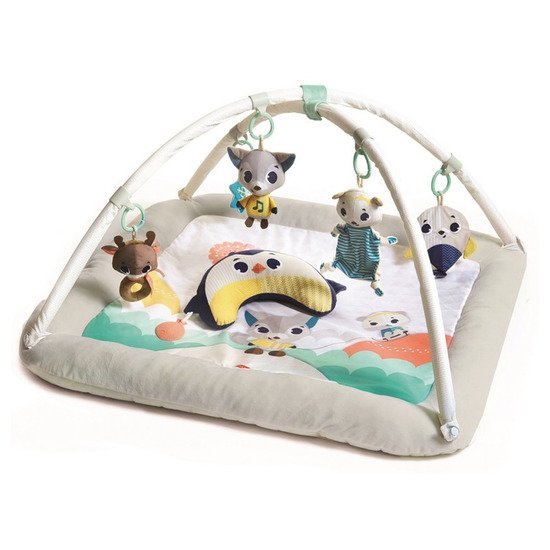 Tapis D Eveil Bebe Achat De Portique Pour Bebe En Ligne Adbb