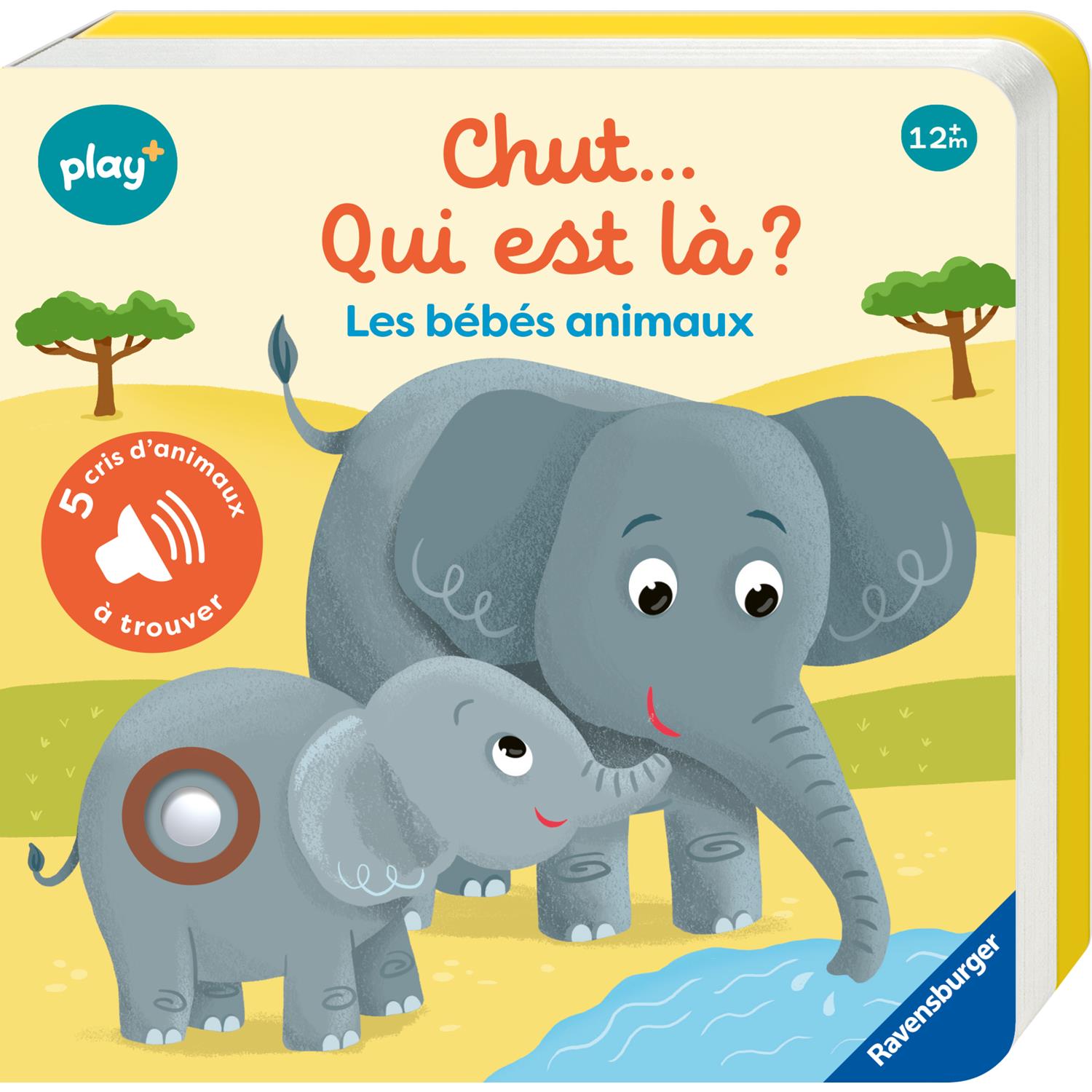Play+ - Livre sonore cherche et trouve MULTICOLORE Play+