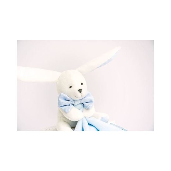 doudouetcielapinmouchoirbleuboitefleurnocolor-3700335233384-4BaseMedia-96Wx96H.jpg