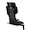 Costal Storm Black