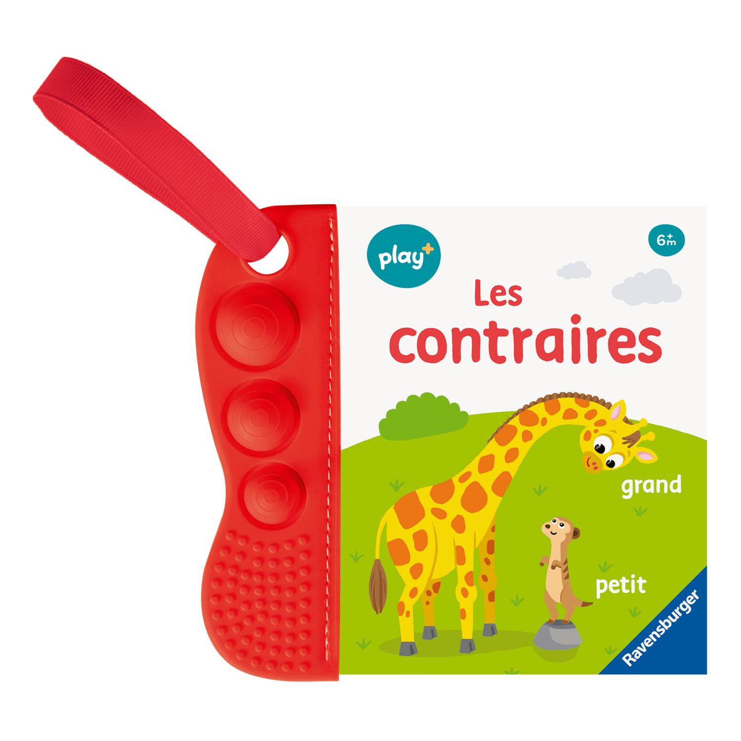 Play+ - Livre Flip & pop MULTICOLORE Play+
