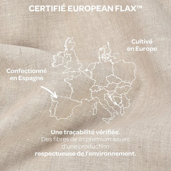 Béaba Coussin d'allaitement Big Flopsy Lin Naturel  Béaba Coussin d'allaitement Big Flopsy Lin Naturel