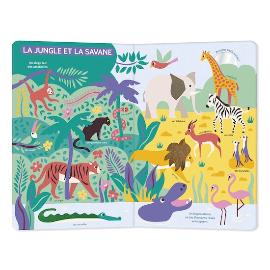 Auzou Autour du monde  