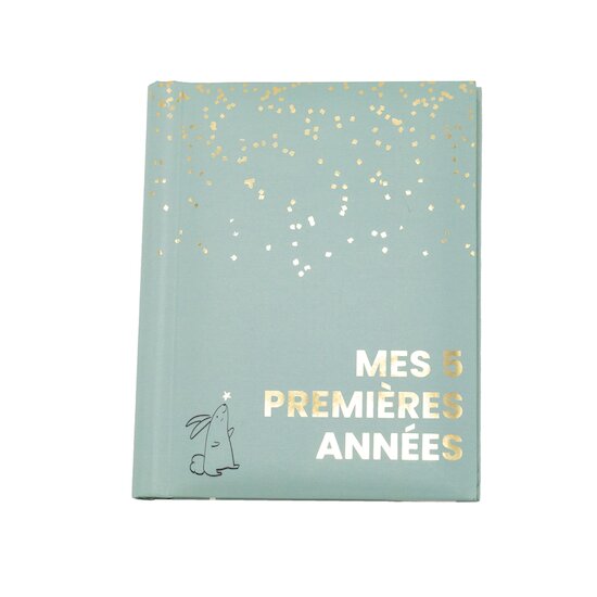 Domiva Mon livre de naissance mes 5 premieres années Sauge gold 