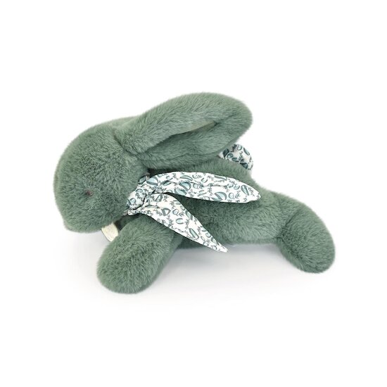 Doudou & Compagnie Peluche petit lapin pantin Vert 