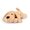 Beige Beige