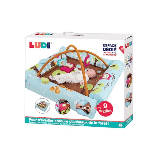 Ludi Aire d'éveil avec arche Chouette Marron/Bleu 