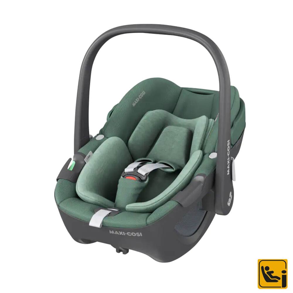 Transat Balancelle Cassia Essential Grey MAXI COSI, Vente en ligne