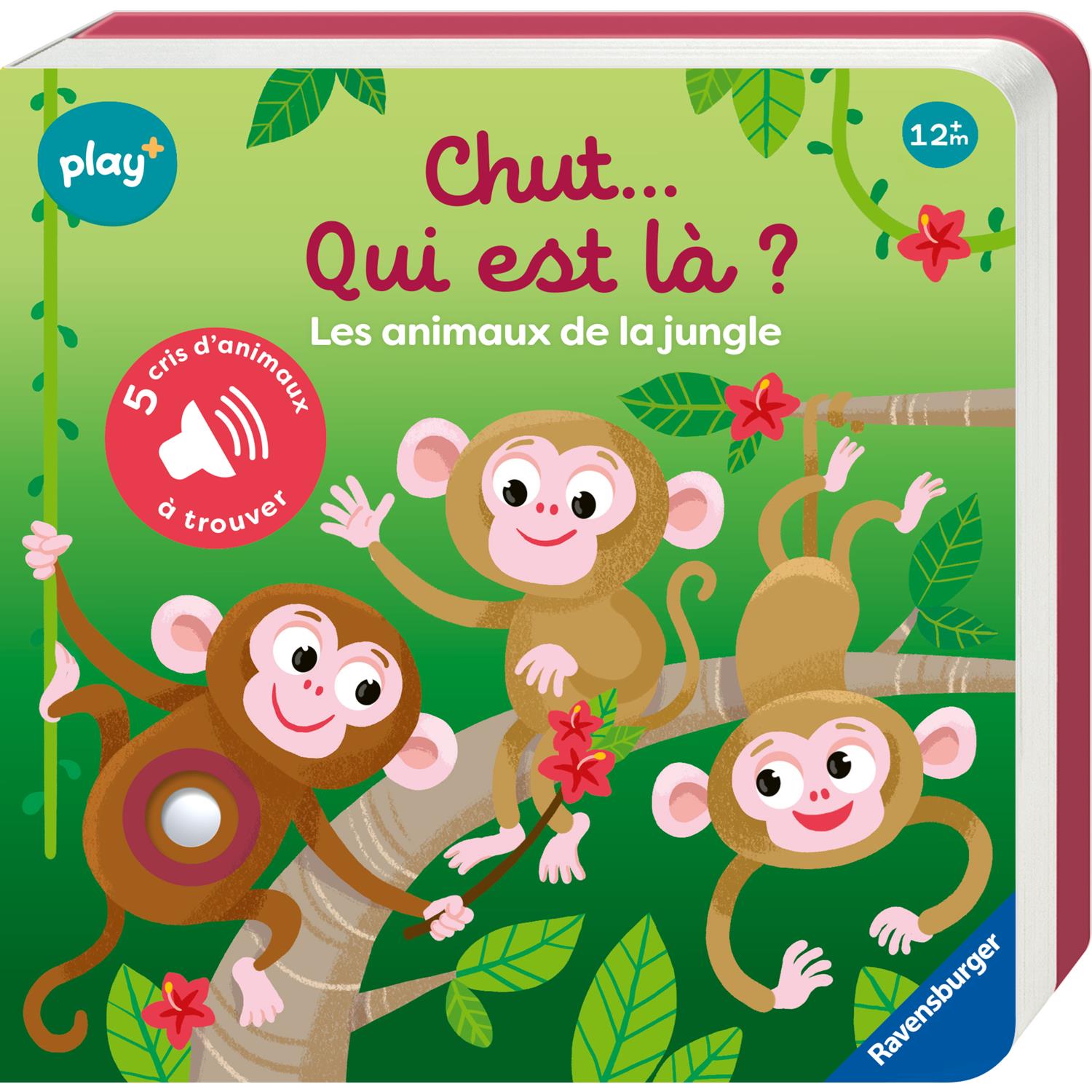 Play+ - Livre sonore cherche et trouve MULTICOLORE Play+
