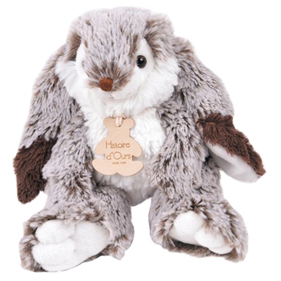 Histoire d'Ours Peluche lapin Marius  