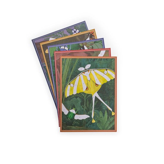 Moulin Roty Cartes fantastiques Tout autour du monde Multicolore  Moulin Roty Cartes fantastiques Tout autour du monde Multicolore
