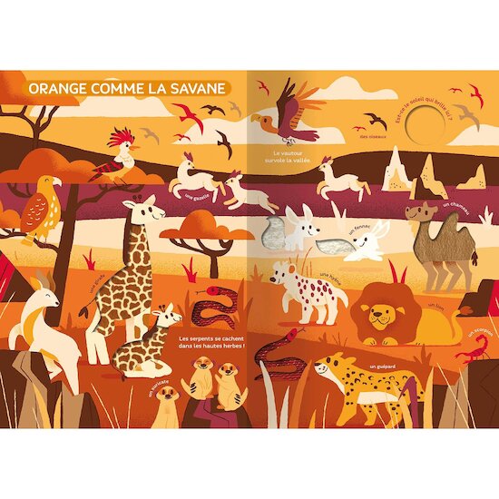 Auzou Livre Le monde des couleurs Multicolore  Auzou Livre Le monde des couleurs Multicolore