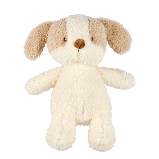 Nattou Peluche Bébé Chien Bouclette Teddy Ecru 24 cm Nattou Peluche Bébé Chien Bouclette Teddy Ecru 24 cm