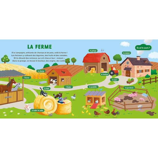 Auzou Livre Mon doc p'tit loup la ferme Multicolore  Auzou Livre Mon doc p'tit loup la ferme Multicolore