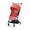 Hibiscus Red 2022