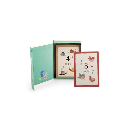 Moulin Roty Cartes Mes 12 premiers mois Pomme des bois   Moulin Roty Cartes Mes 12 premiers mois Pomme des bois