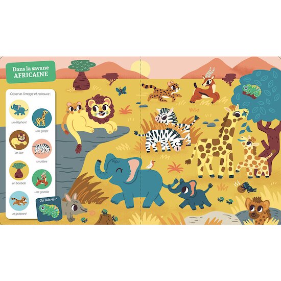 Auzou La jungle et la savane Multicolore 