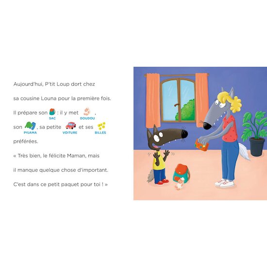 Auzou Livre P'tit loup ne dort pas à la maison Multicolore  Auzou Livre P'tit loup ne dort pas à la maison Multicolore