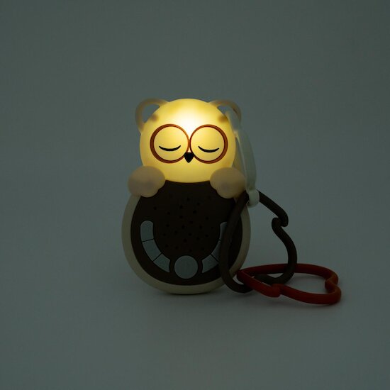 Cloud b Sweet Dreamz On the Go™ Owl 