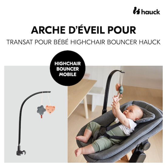 Hauck Mobile pour transat Multicolore  Hauck Mobile pour transat Multicolore