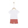 96Wx96H-jillesembletshirtmanchescourtesavecbermudaesc-2.jpg